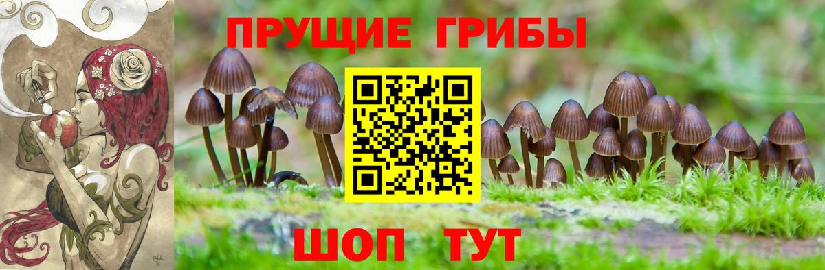 Галлюциногенные грибы Psilocybe  Вход с VPN  магазин продажи наркотиков  Энгельс  Галлюциногенные грибы мухоморы 
